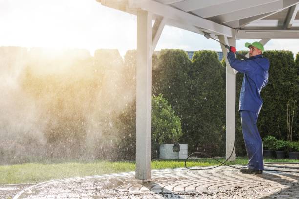 Best Dumpster Area Cleaning  in Tusculum, TN