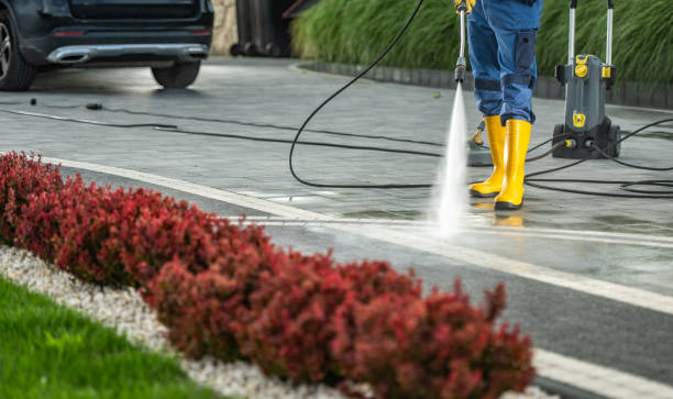 Best Sidewalk and Walkway Cleaning  in Tusculum, TN