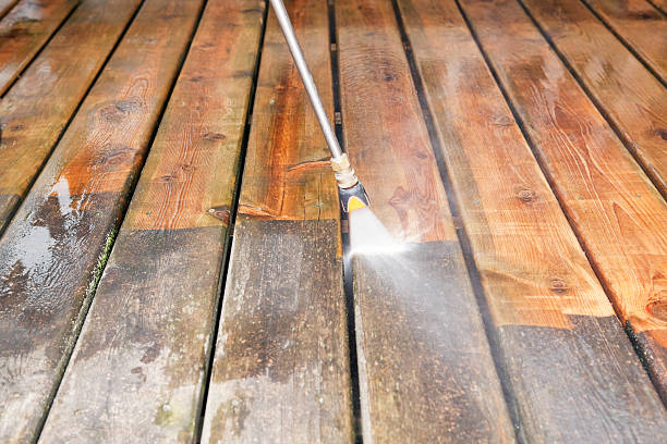 Best Fence Cleaning  in Tusculum, TN